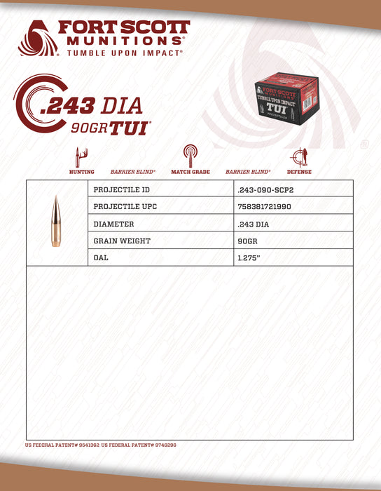 .243-090-SCP2 Projectile