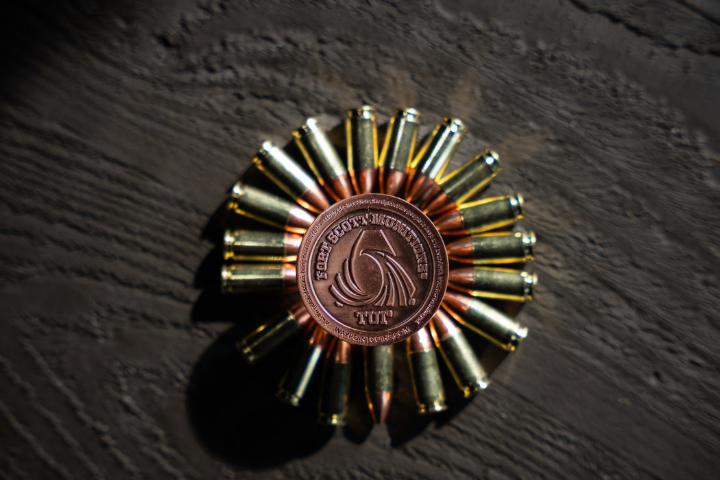 FSM Challenge Coin
