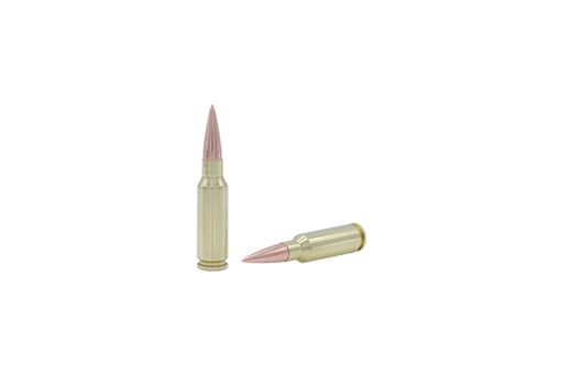 6.5 Grendel SCS® TUI® - 123GR Ammo - Fort Scott Munitions