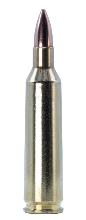 22-250 Rem Ammo SCS® TUI® - 40Gr Solid Copper Ammo