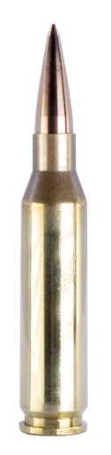 260 REM SCS® TUI® - 123GR Ammo - Fort Scott Munitions - Rifle Ammo