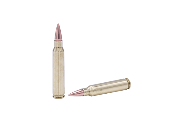 Fort Scott Munitions 5.56 NATO Brass 62 Grain Centerfire Rifle Ammunition  556-062-SBV1 27% Off
